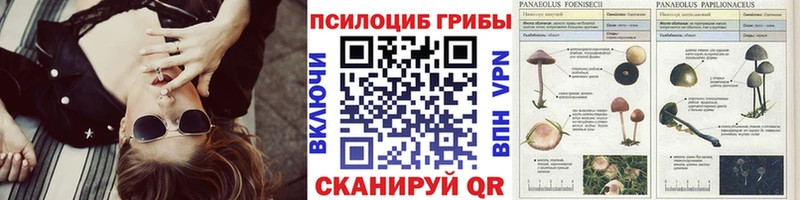 купить   Южно-Сахалинск  Псилоцибиновые грибы мухоморы 